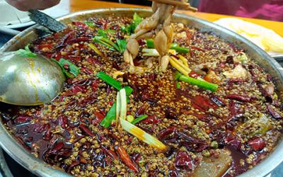 成都美蛙魚成人抖音在线下载班