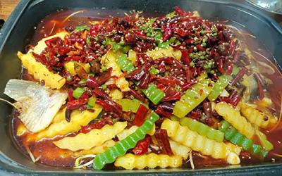 烤魚成人抖音在线下载學費多少錢？